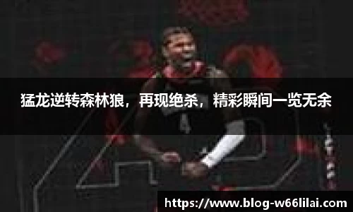 猛龙逆转森林狼，再现绝杀，精彩瞬间一览无余